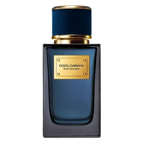 dolce gabbana blue musk|velvet blue musk dolce and gabbana.